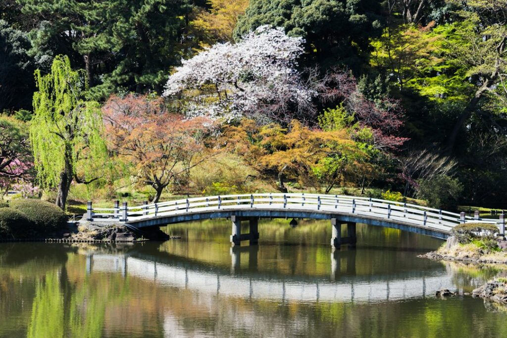 散策と緑の景観のイメージ(紹介施設の実写ではありません)