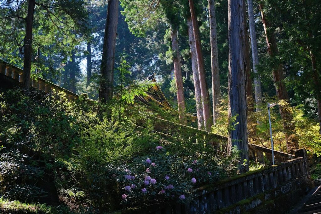 日光旅行のイメージ（紹介施設の実写ではありません）